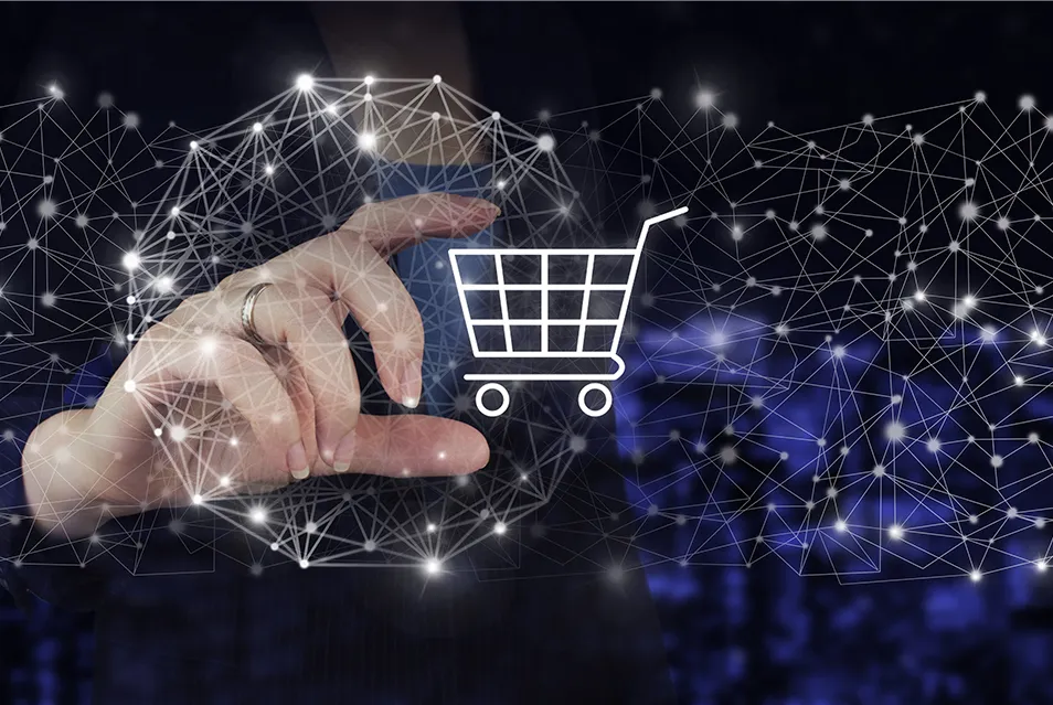 Role of E-Commerce Website During COVID-19